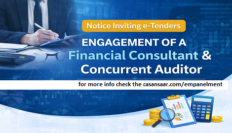 Engagement of a Financial Consultant & Concurrent Auditor