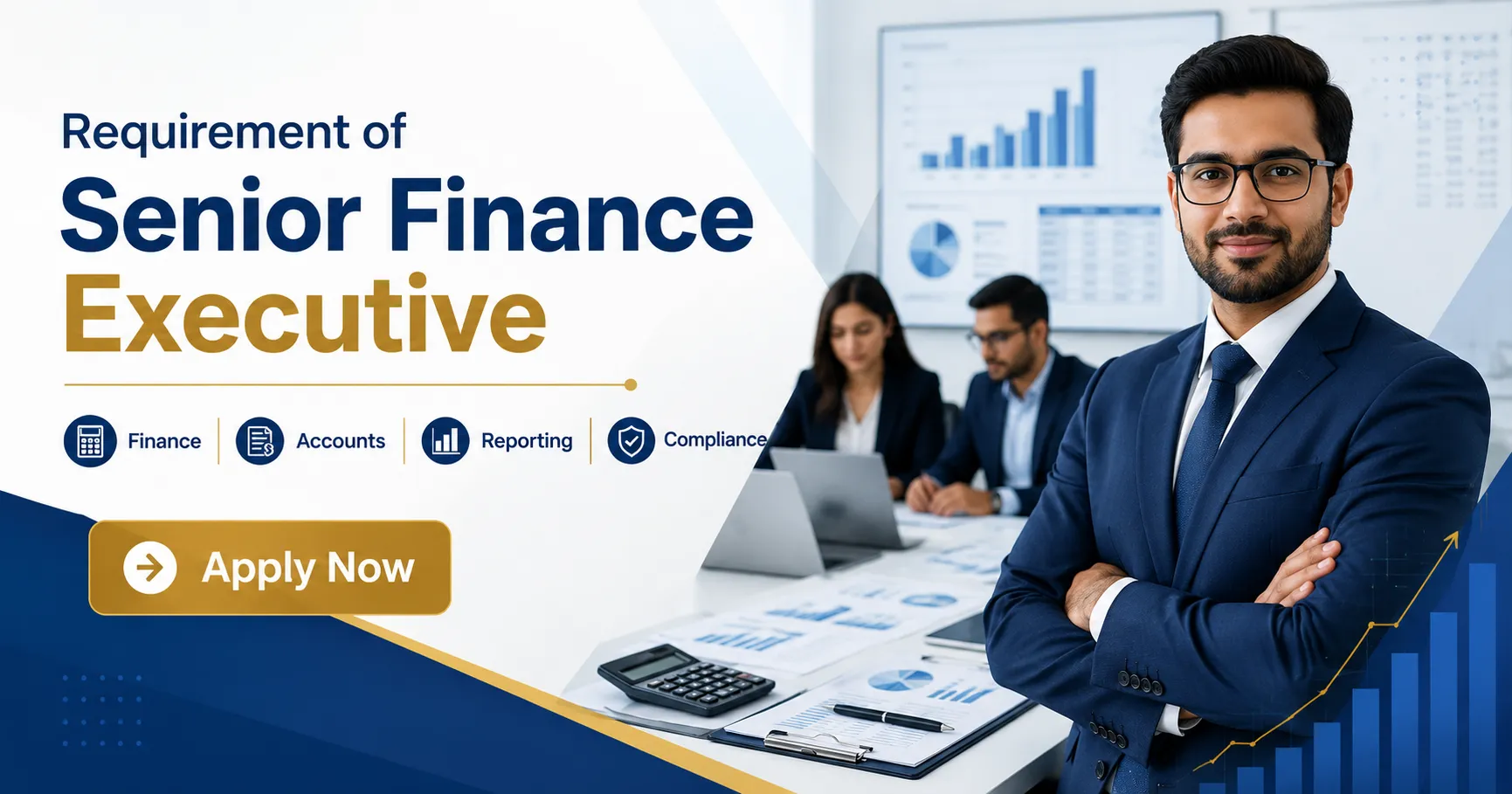 Senior Finance Executive